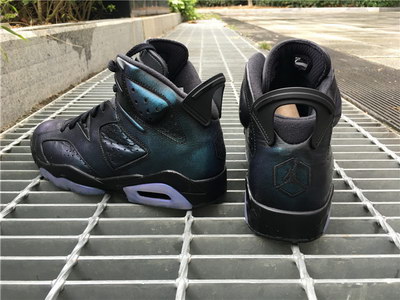 Air Jordan 6 Chameleon