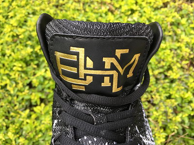 Air Jordan XXXI “BHM”