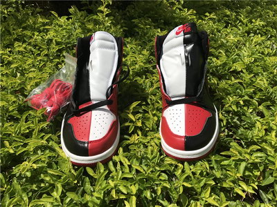Air jordan 1s Homage To Home