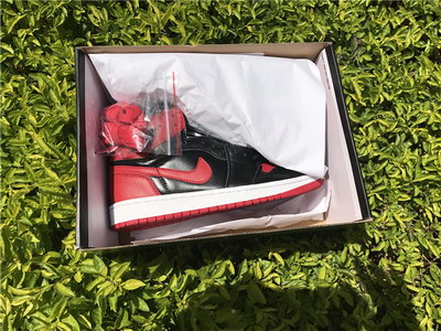 Air jordan 1s Homage To Home